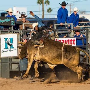 Meet your Posher, Cameron